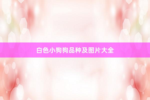 白色小狗狗品种及图片大全
